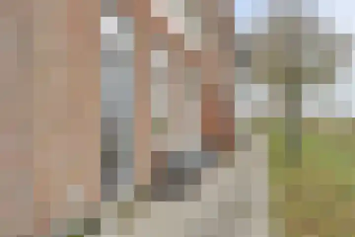 Rijkswal 52 Woudrichem thumbnail 7