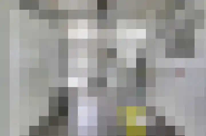 Rijksweg 1 A Kruiningen thumbnail 16