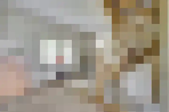 Rijksweg 1 A Kruiningen thumbnail 18