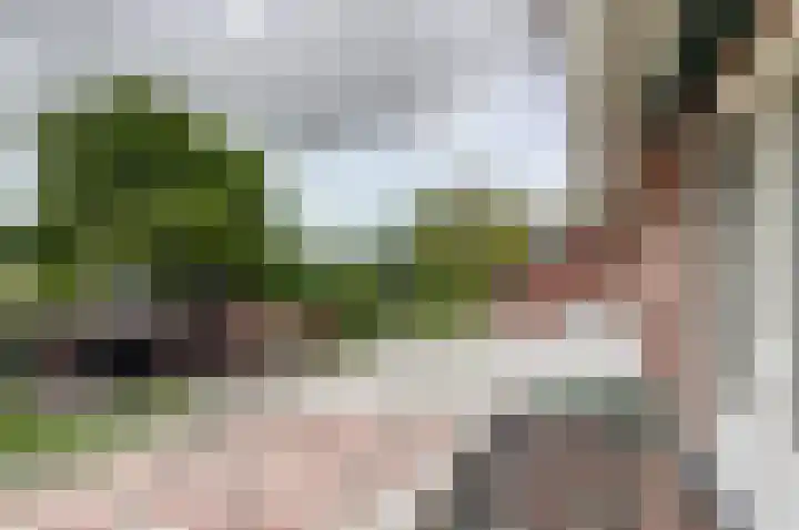 Rijksweg 1 A Kruiningen thumbnail 22