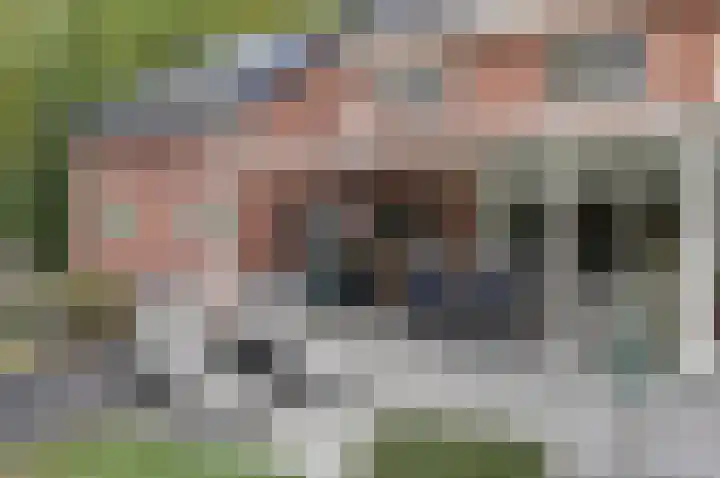 Rijksweg 1 A Kruiningen thumbnail 35