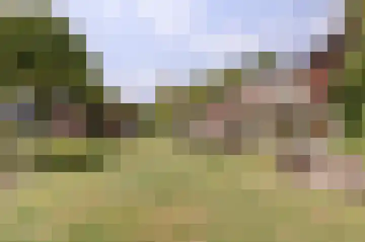 Rijksweg 1 A Kruiningen thumbnail 36