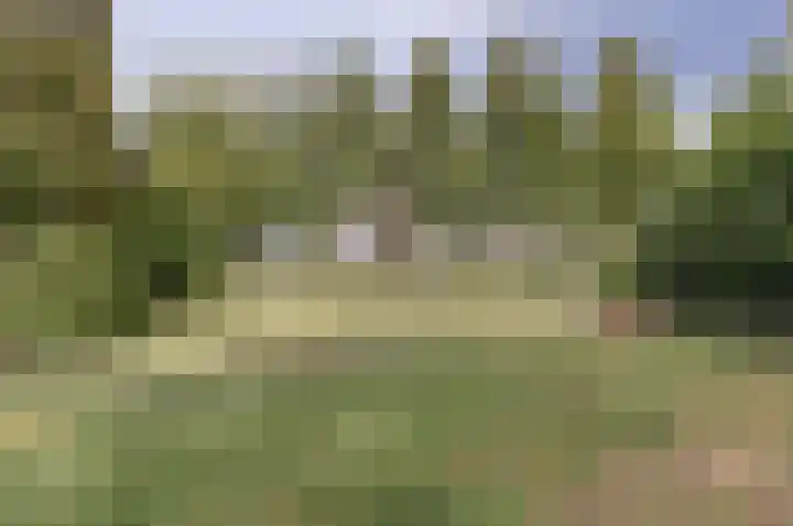 Rijksweg 1 A Kruiningen thumbnail 37