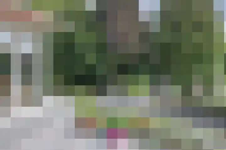 Rijksweg 1 A Kruiningen thumbnail 38