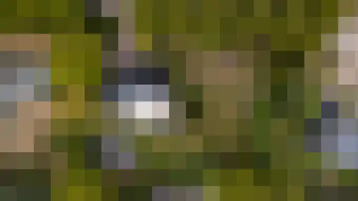 Rijksweg 1 A Kruiningen thumbnail 39