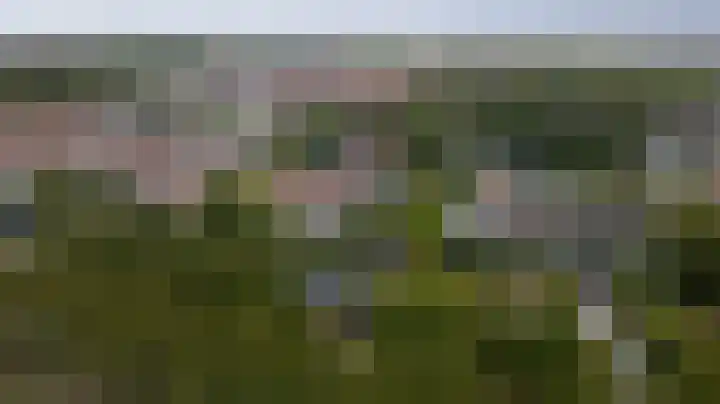 Rijksweg 1 A Kruiningen thumbnail 42
