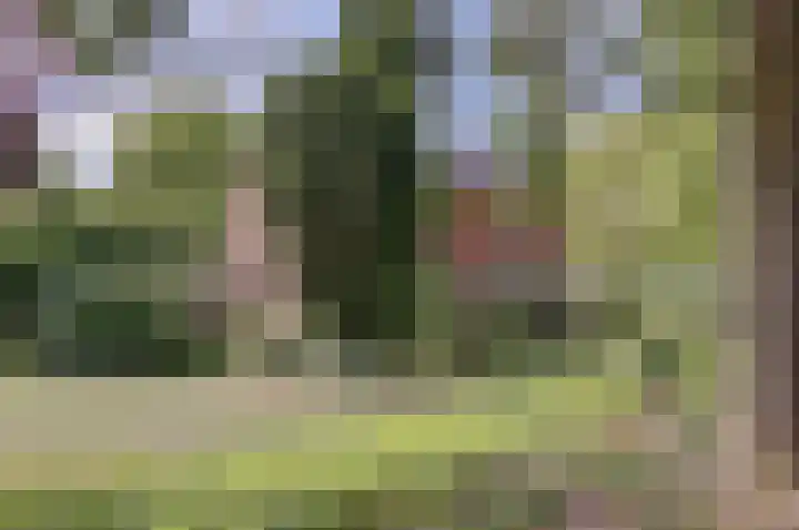 Rijksweg 1 A Kruiningen thumbnail 43