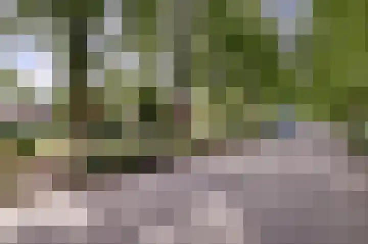 Rijksweg 1 A Kruiningen thumbnail 44