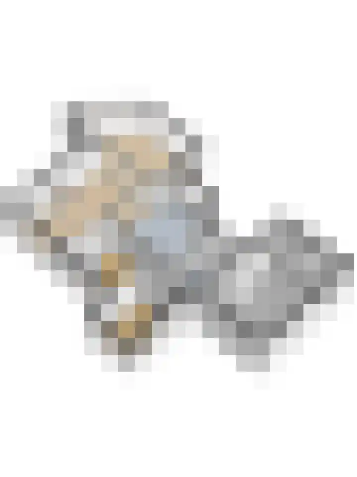 Rijksweg 1 A Kruiningen thumbnail 53