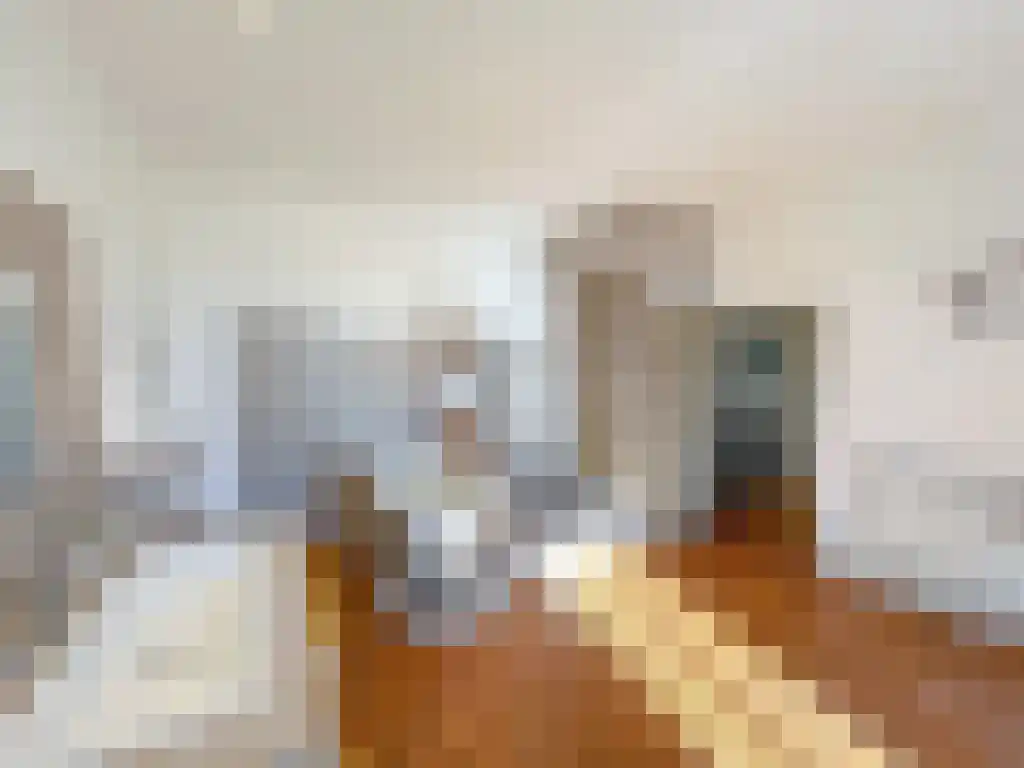 Rijksweg 1 Eede thumbnail 12
