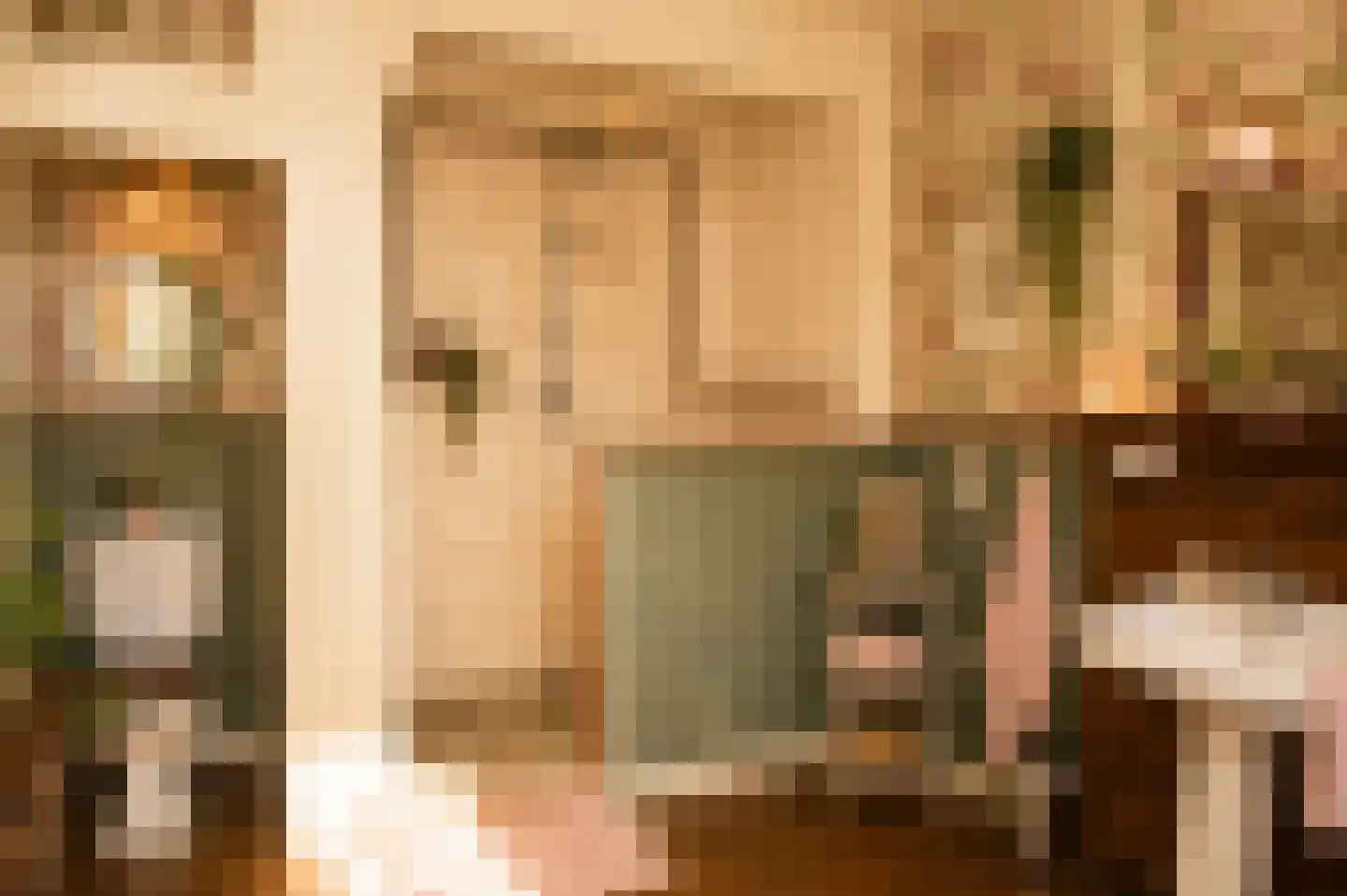 Rijksweg 1 Eede thumbnail 16