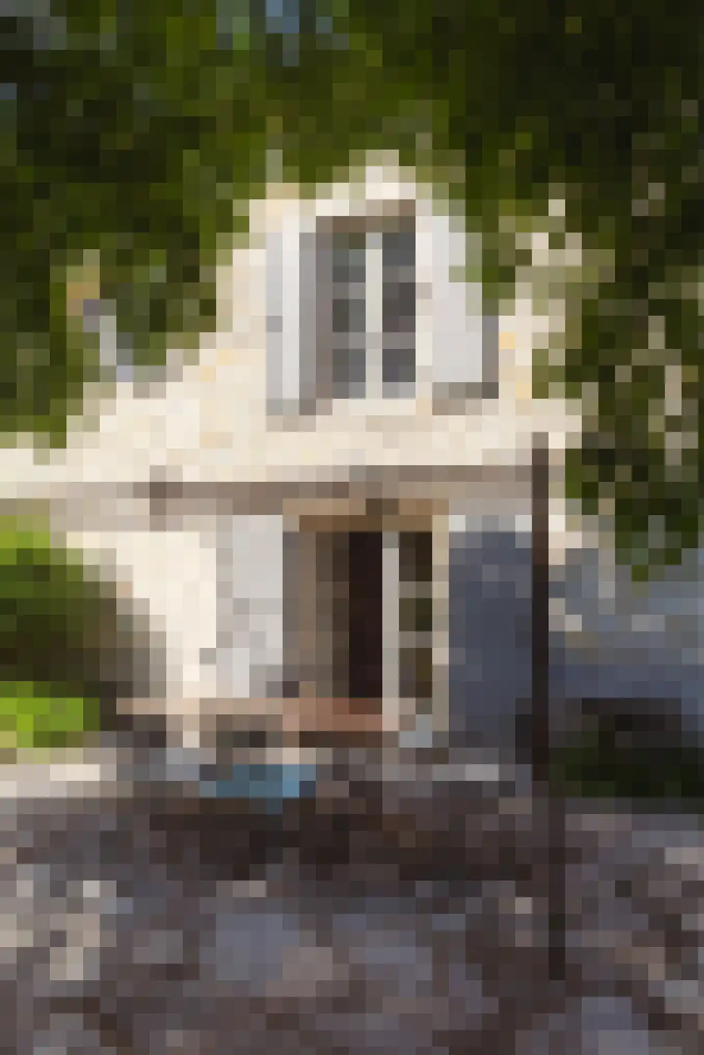 Rijksweg 1 Eede thumbnail 16