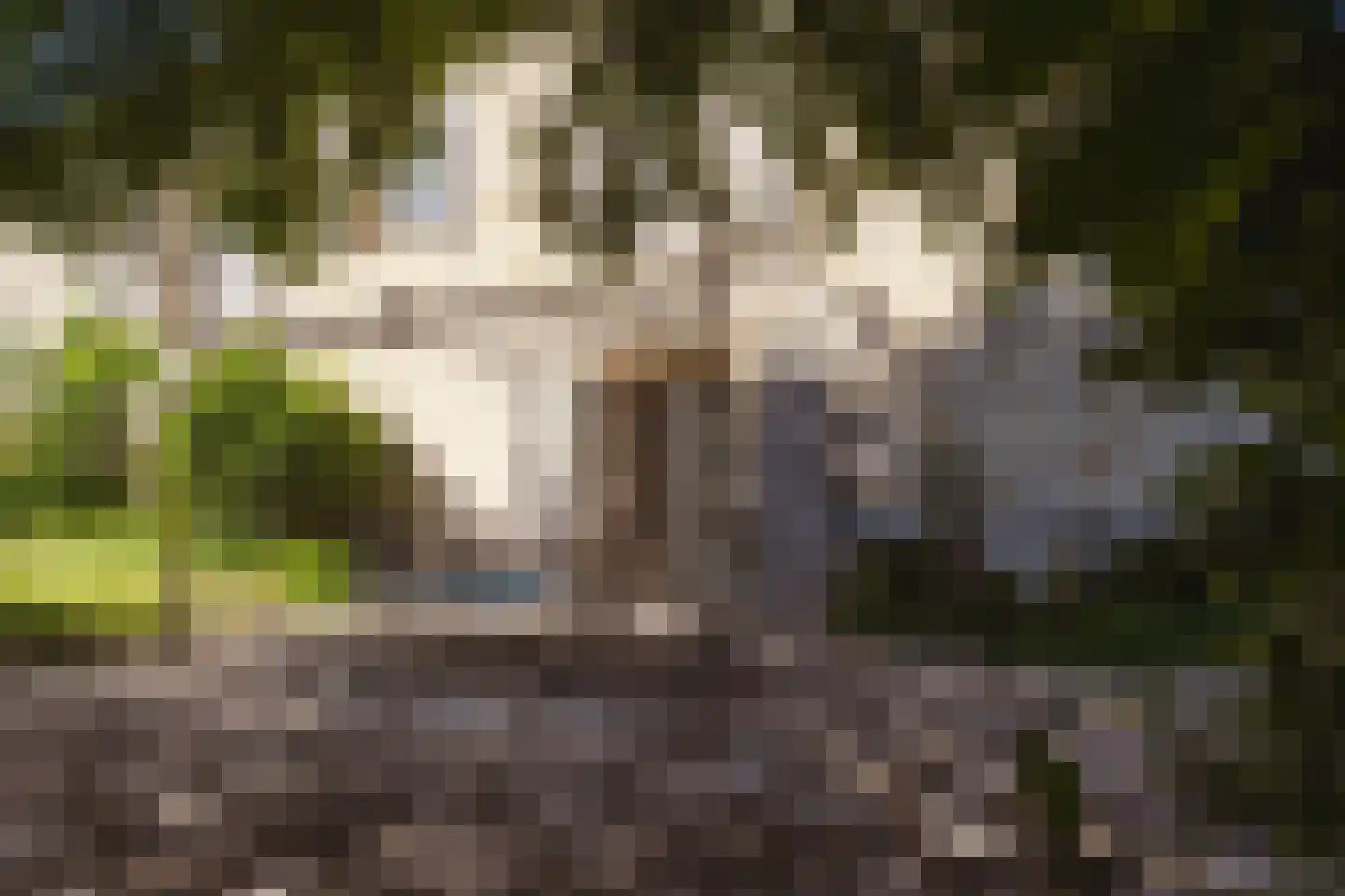 Rijksweg 1 Eede thumbnail 17
