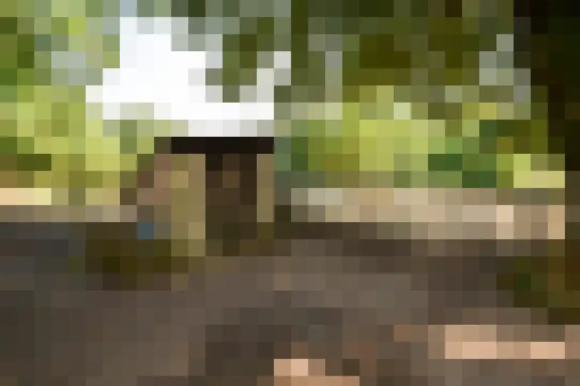 Rijksweg 1 Eede thumbnail 18