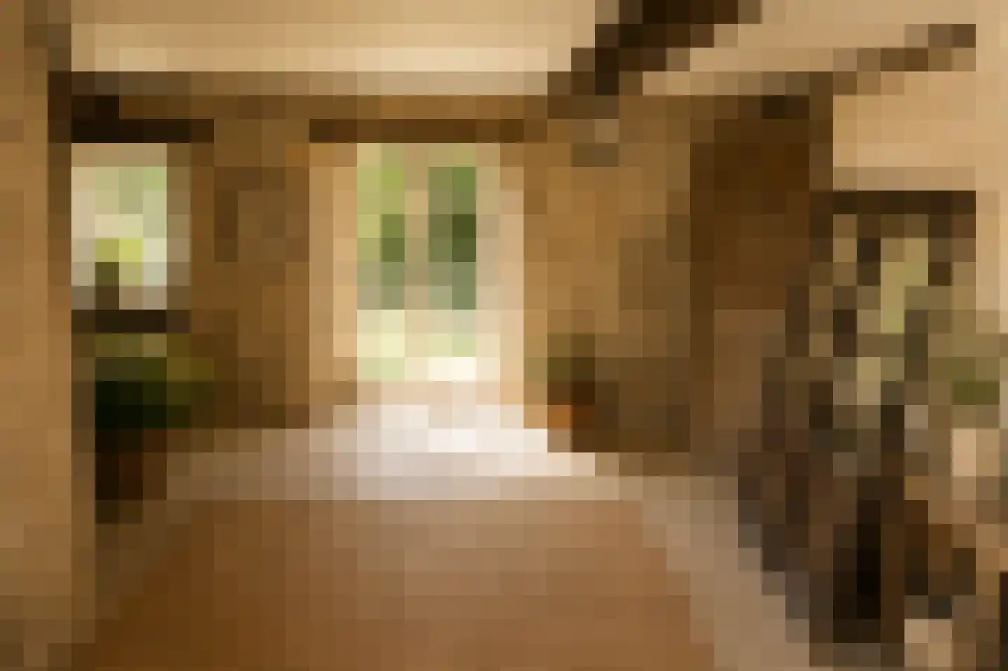 Rijksweg 1 Eede thumbnail 19
