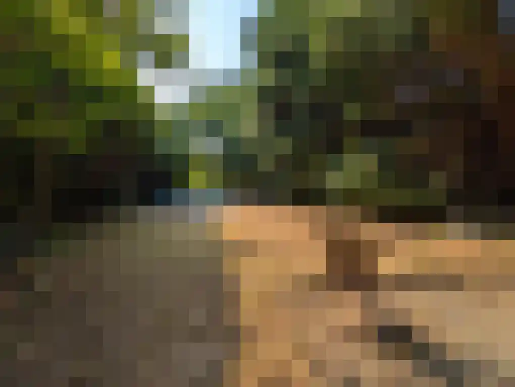 Rijksweg 1 Eede thumbnail 20