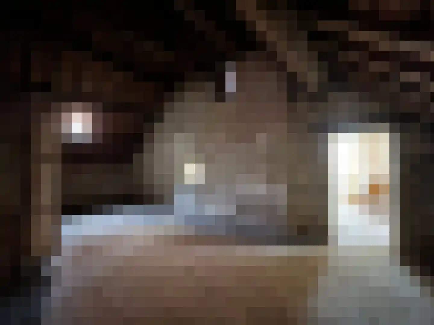 Rijksweg 1 Eede thumbnail 22