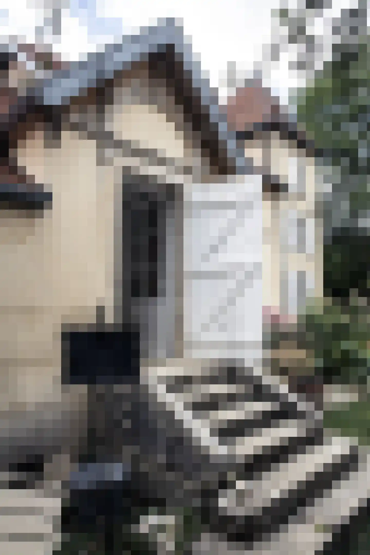 Rijksweg 1 Eede thumbnail 25