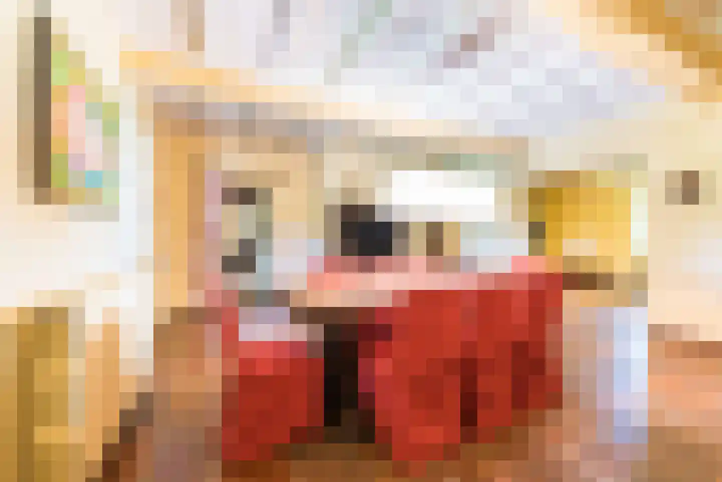 Rijksweg 1 Eede thumbnail 28