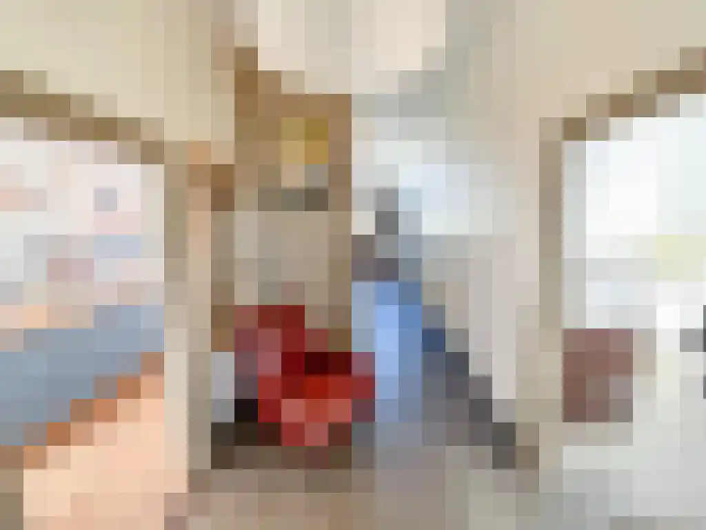 Rijksweg 1 Eede foto 3