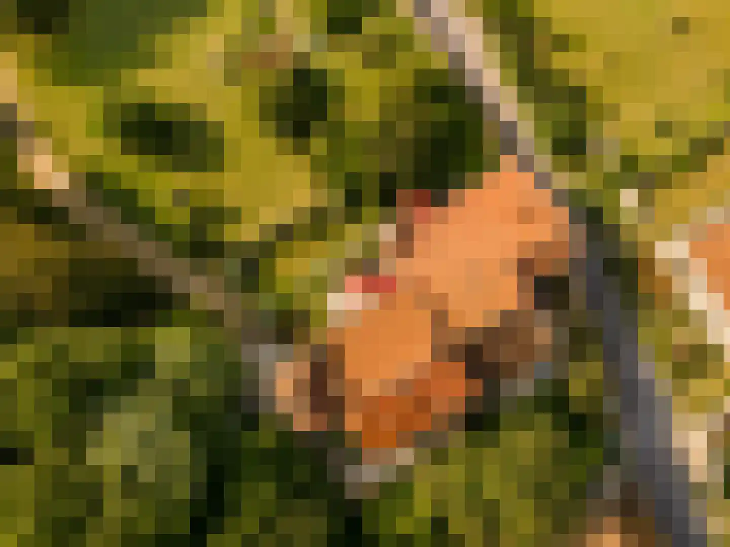 Rijksweg 1 Eede foto 3