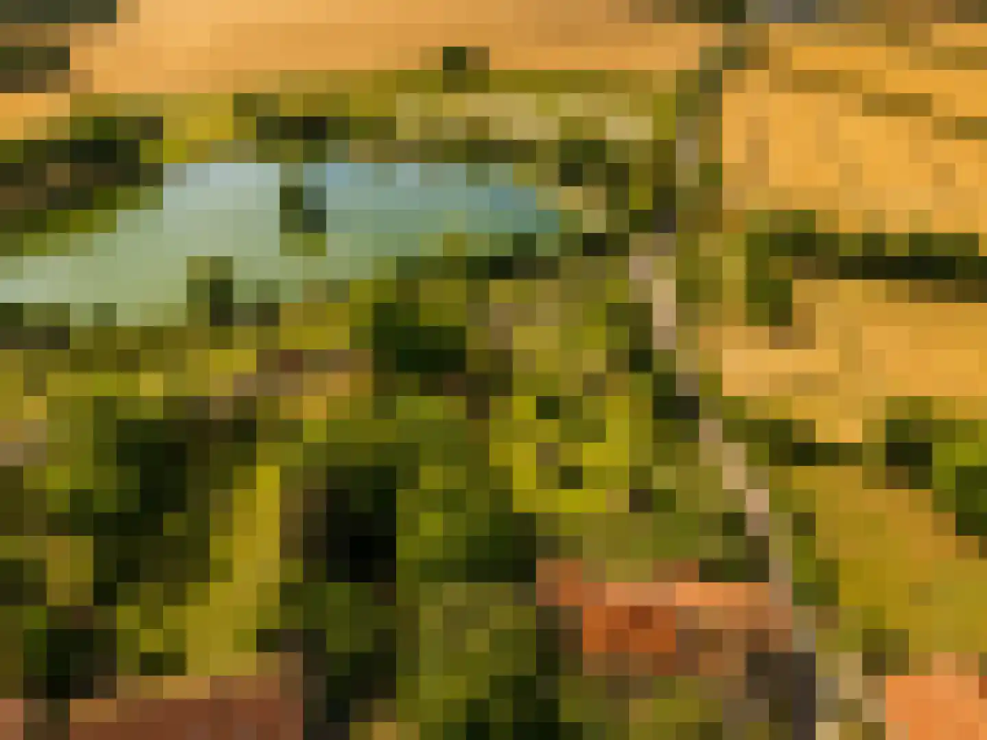 Rijksweg 1 Eede thumbnail 4