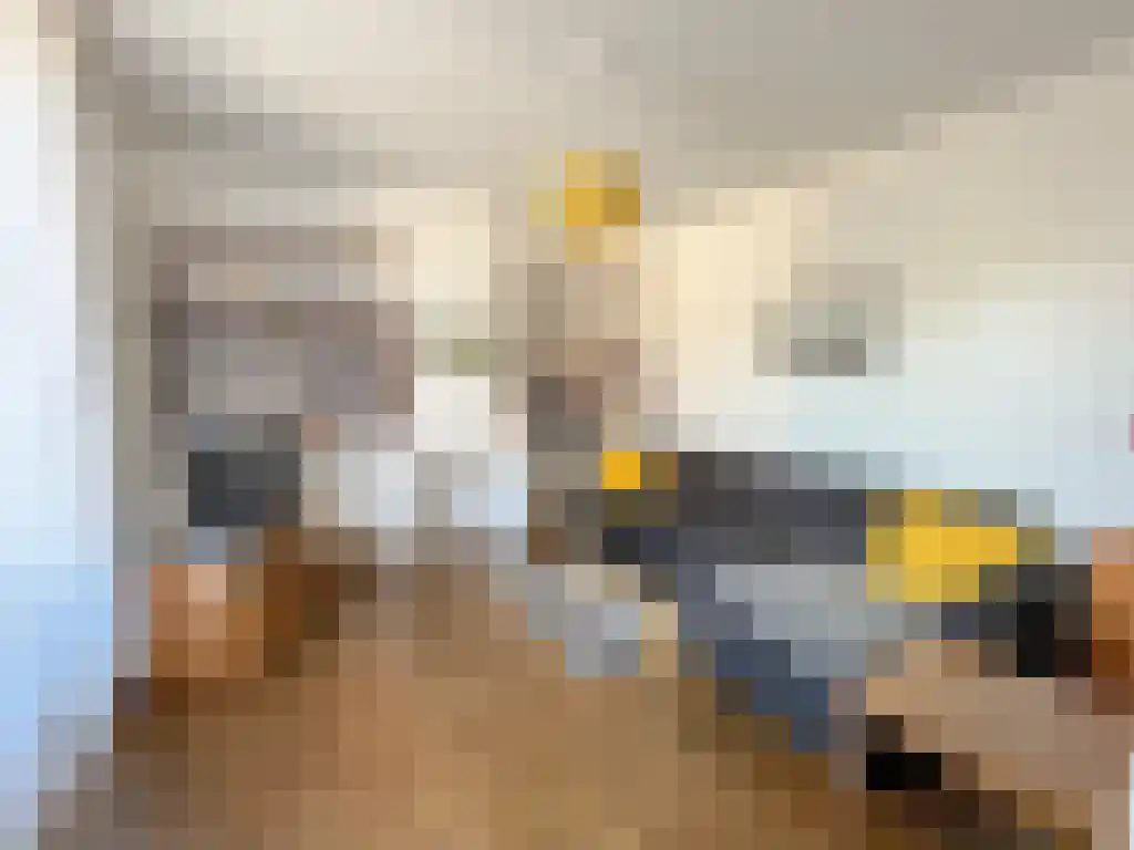 Rijksweg 1 Eede thumbnail 4