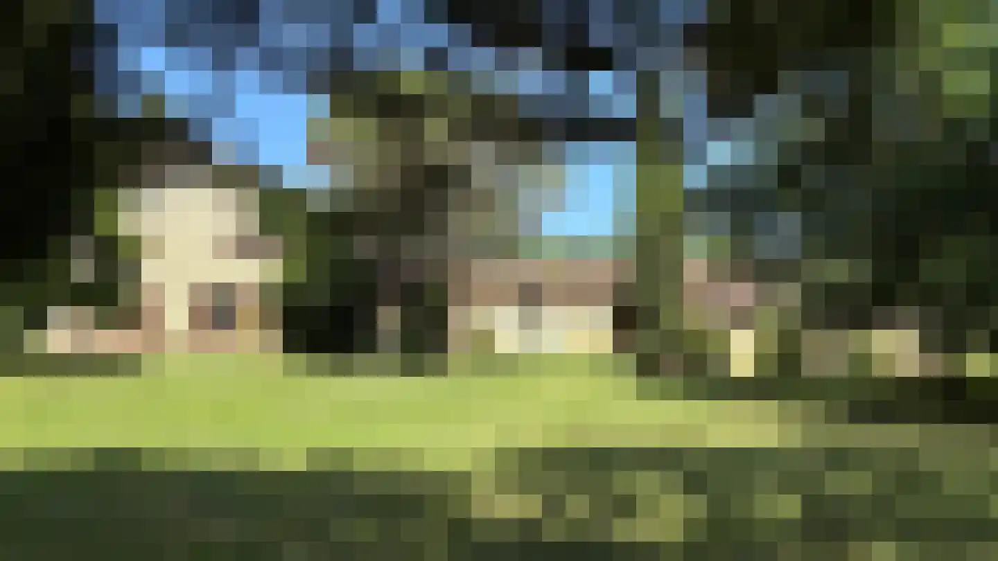 Rijksweg 1 Eede thumbnail 40