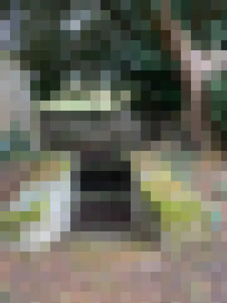 Rijksweg 1 Eede thumbnail 40