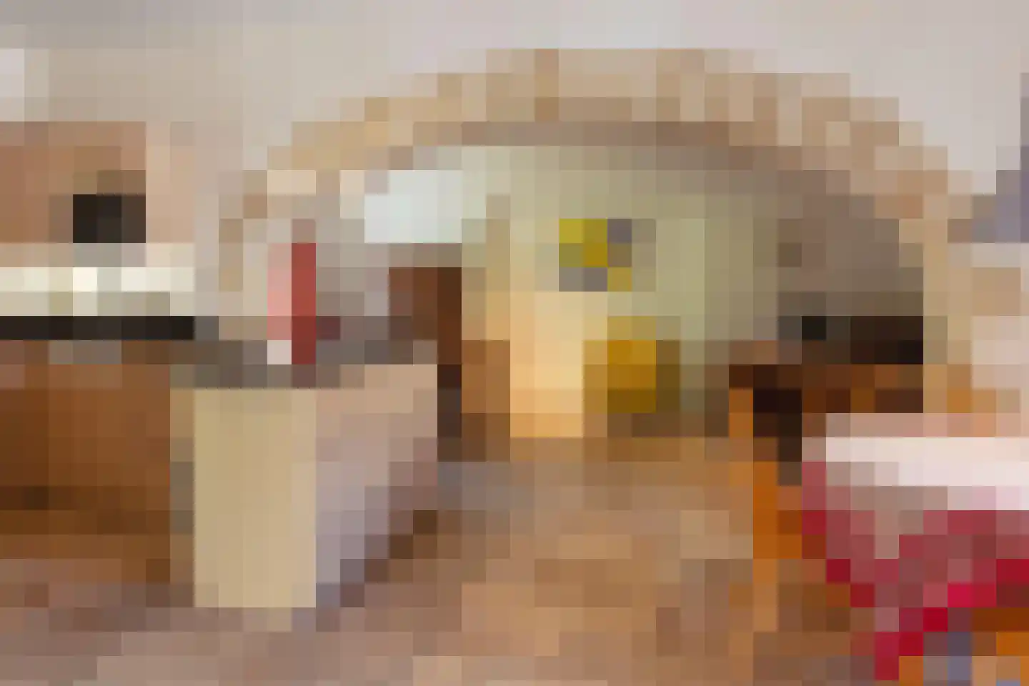 Rijksweg 1 Eede thumbnail 41