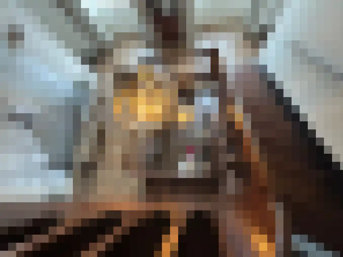 Rijksweg 1 Eede thumbnail 42