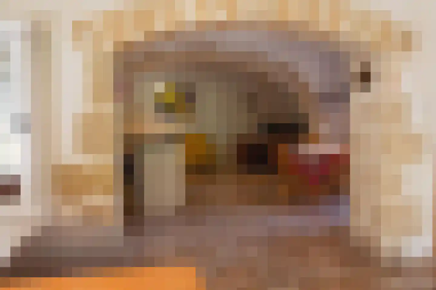 Rijksweg 1 Eede thumbnail 44