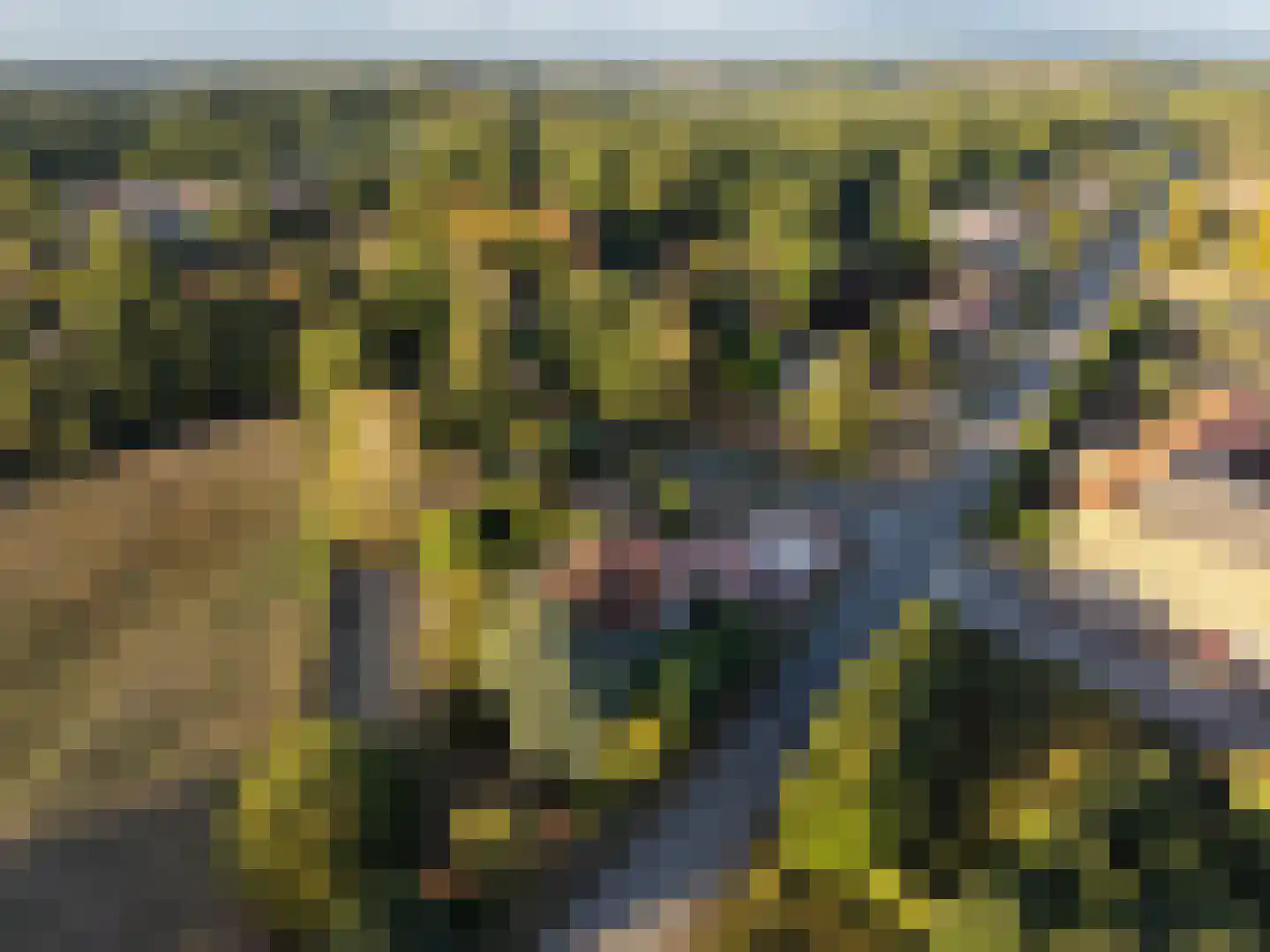 Rijksweg 1 Eede thumbnail 49
