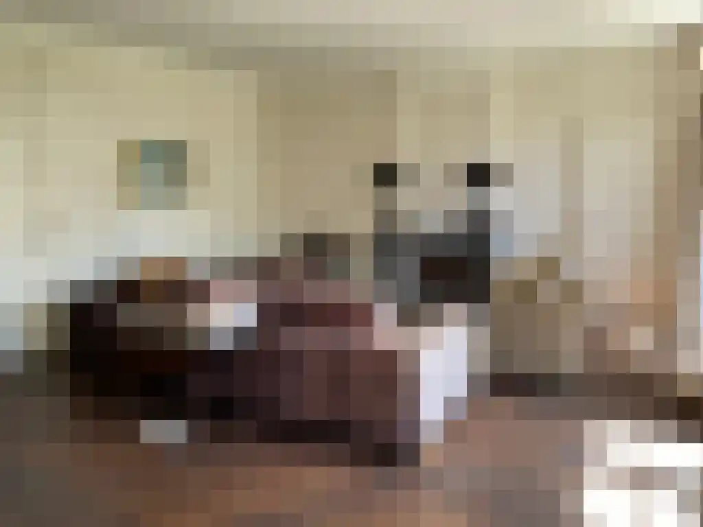 Rijksweg 1 Eede thumbnail 5
