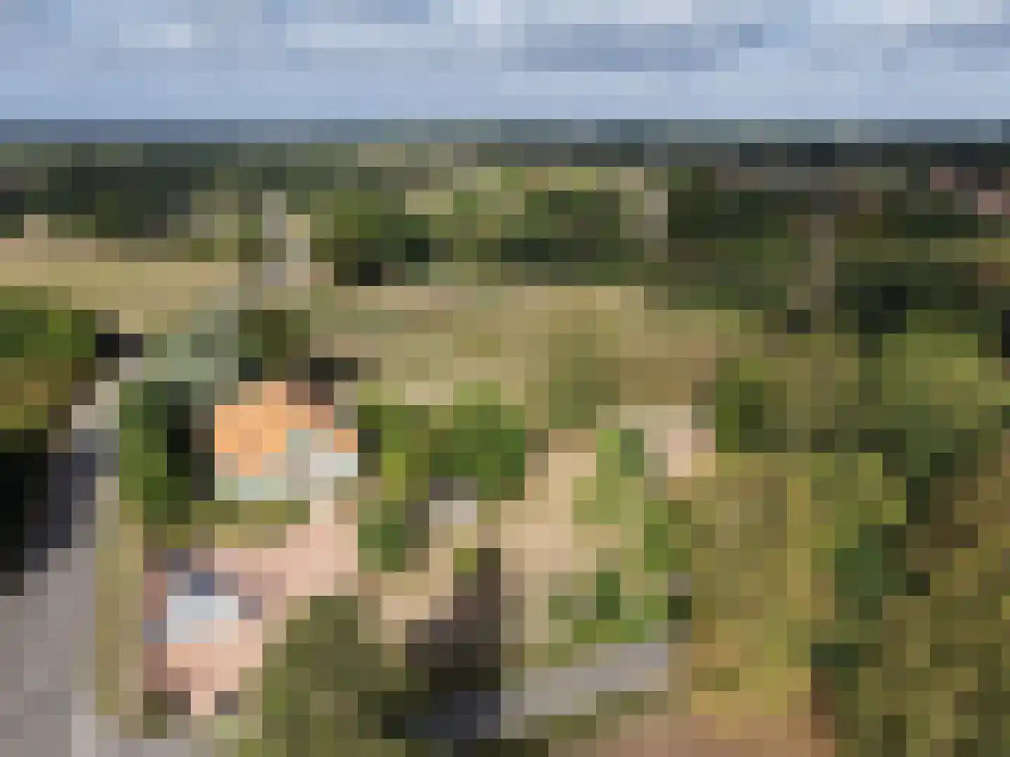 Rijksweg 1 Eede thumbnail 50