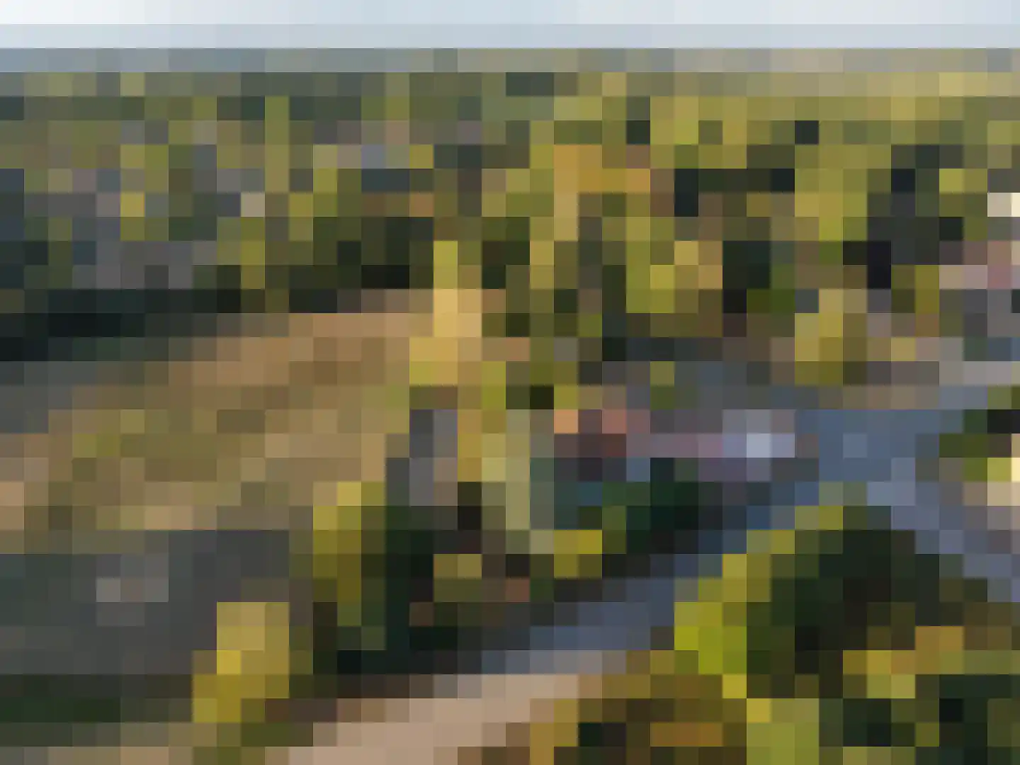 Rijksweg 1 Eede thumbnail 51
