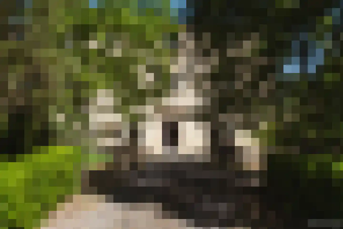 Rijksweg 1 Eede thumbnail 52