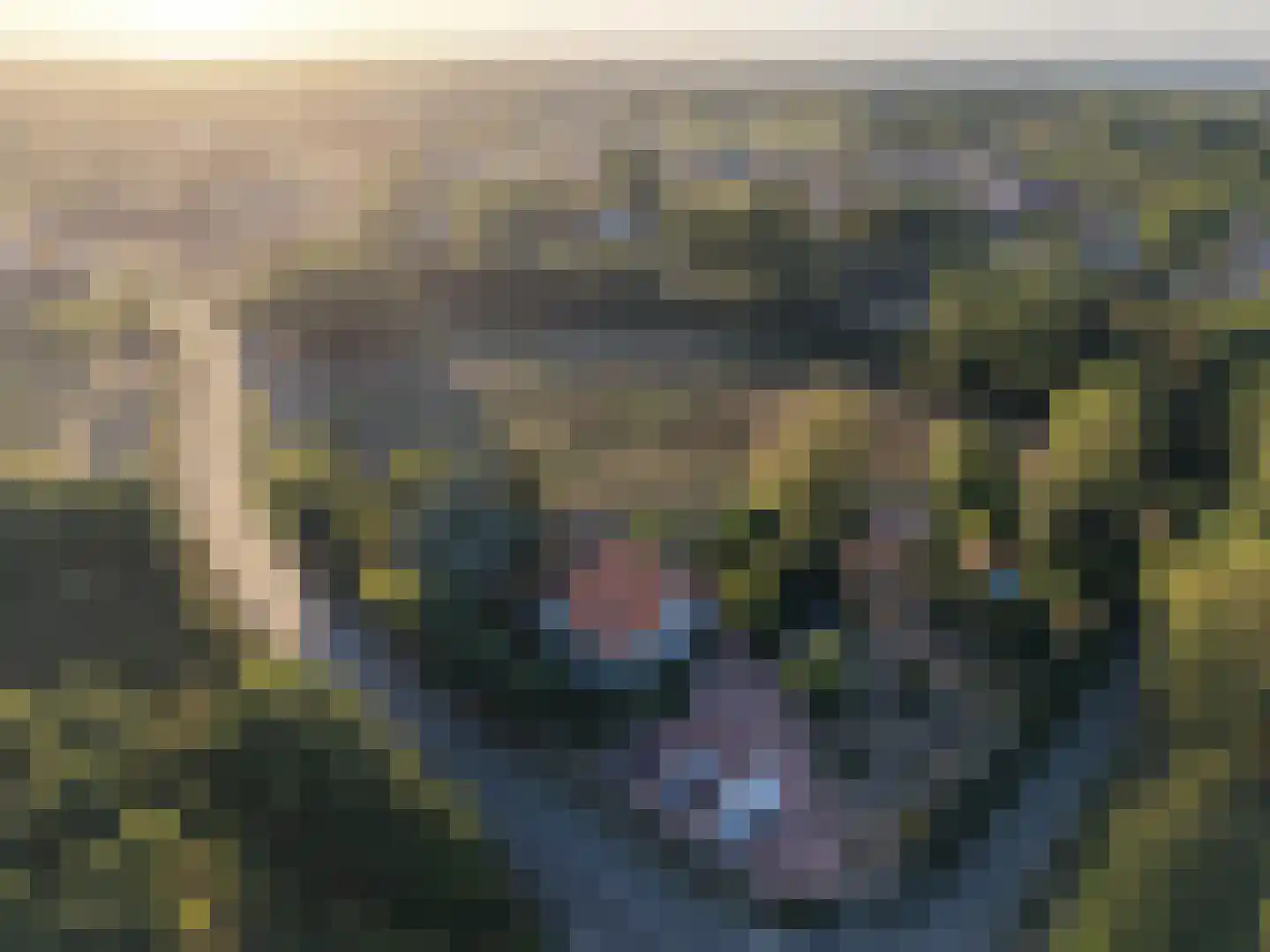 Rijksweg 1 Eede thumbnail 52