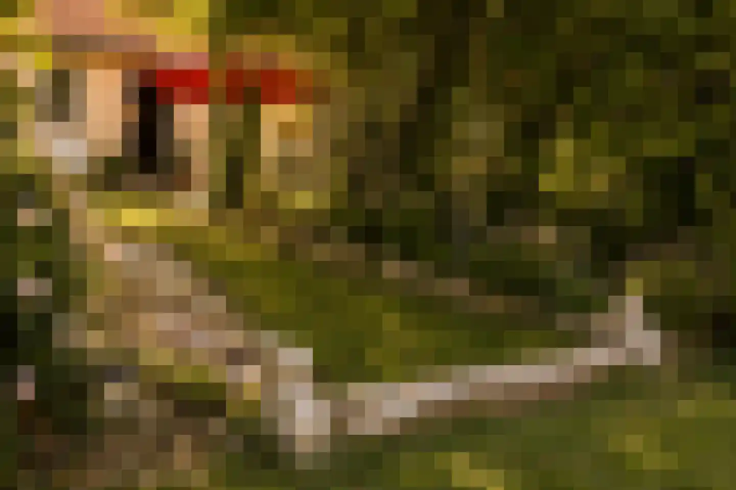 Rijksweg 1 Eede thumbnail 6