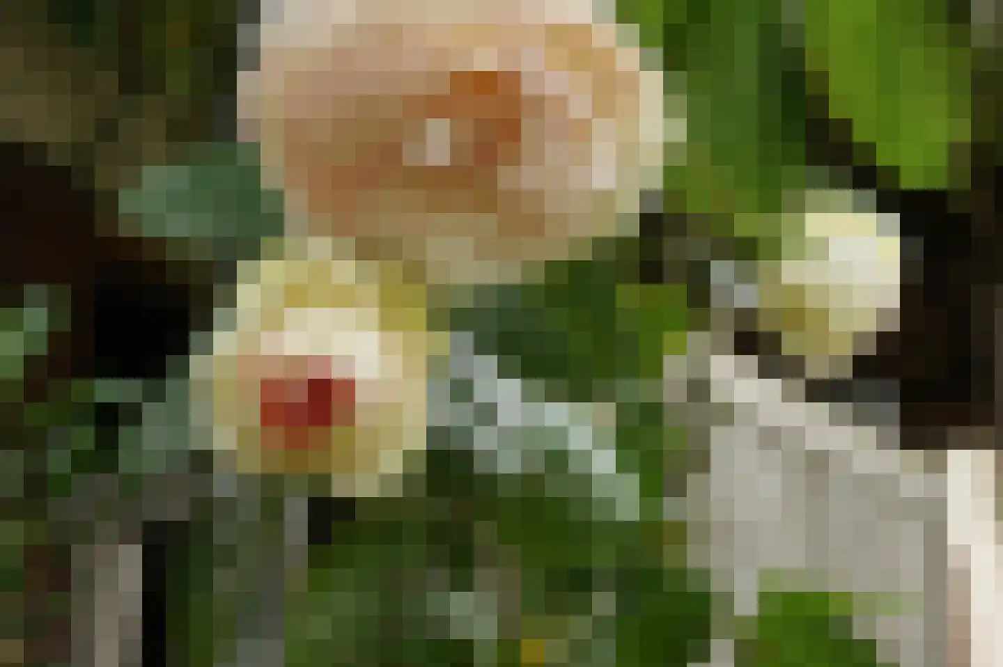 Rijksweg 1 Eede thumbnail 65