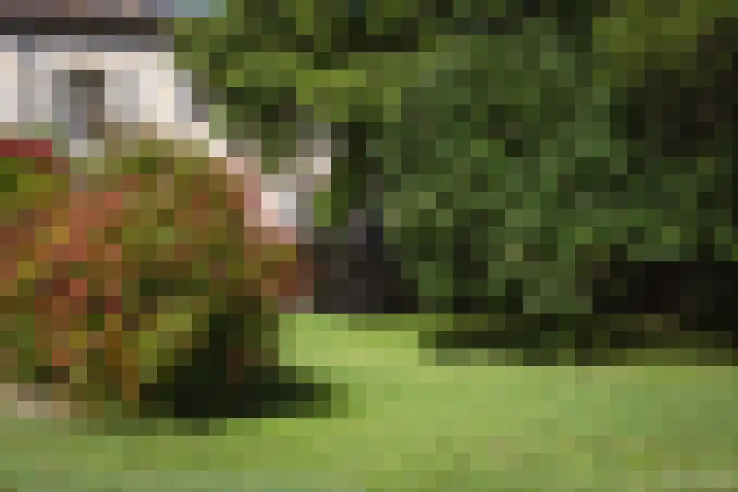 Rijksweg 1 Eede thumbnail 7