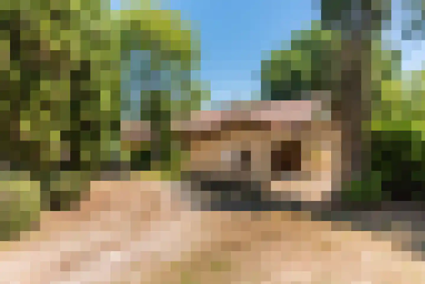 Rijksweg 1 Eede thumbnail 70