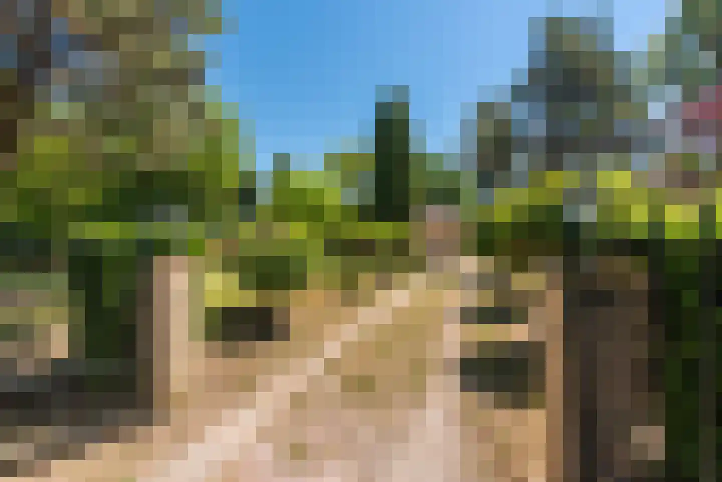 Rijksweg 1 Eede thumbnail 71