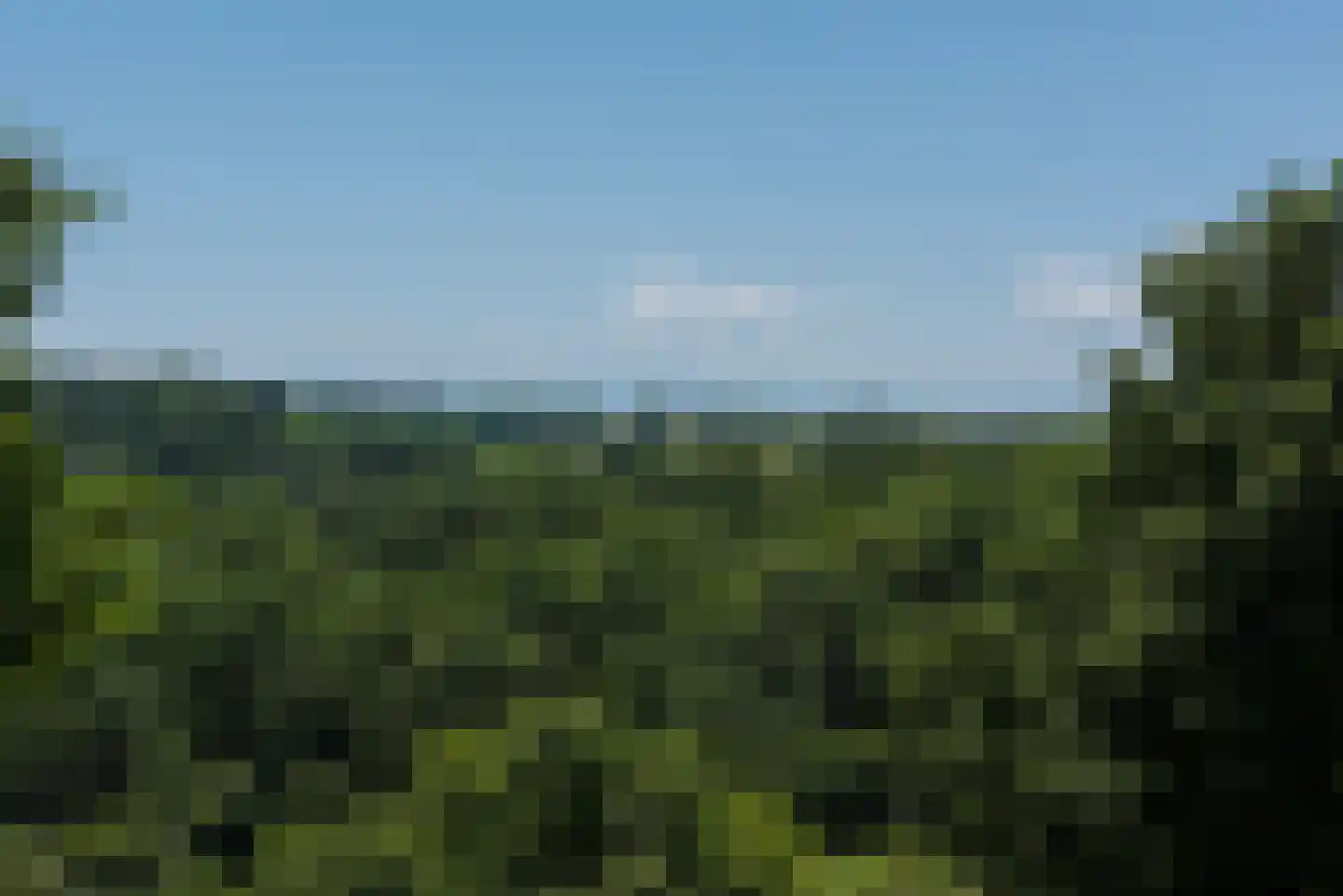 Rijksweg 1 Eede thumbnail 79