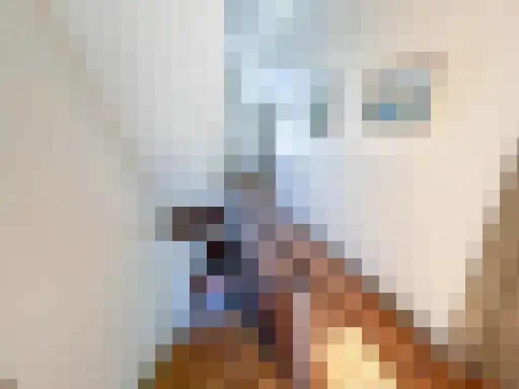 Rijksweg 1 Eede thumbnail 8