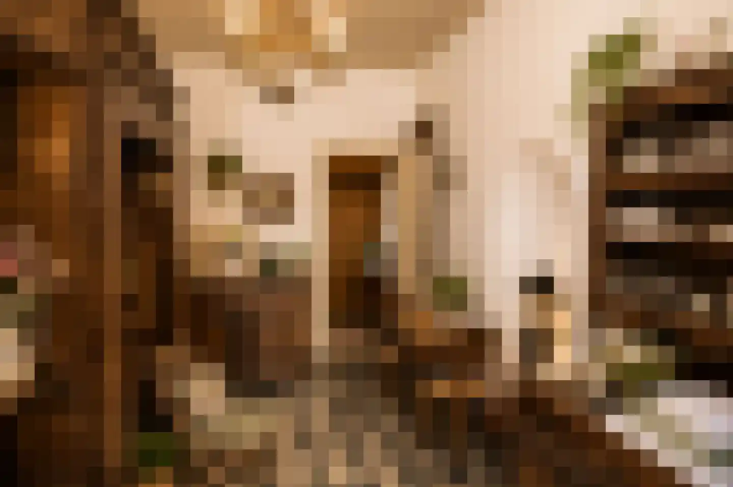 Rijksweg 1 Eede thumbnail 8
