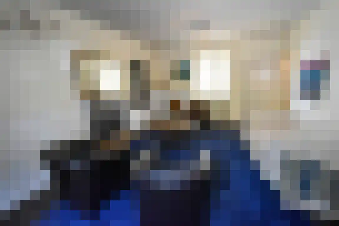 Rijksweg 1 Eede thumbnail 8