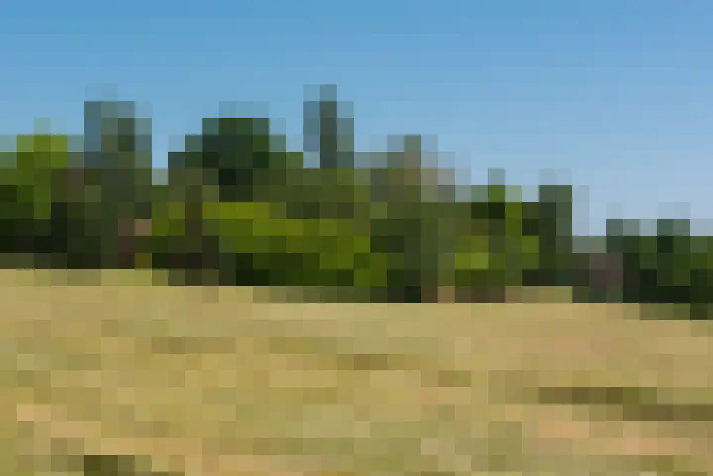 Rijksweg 1 Eede thumbnail 82