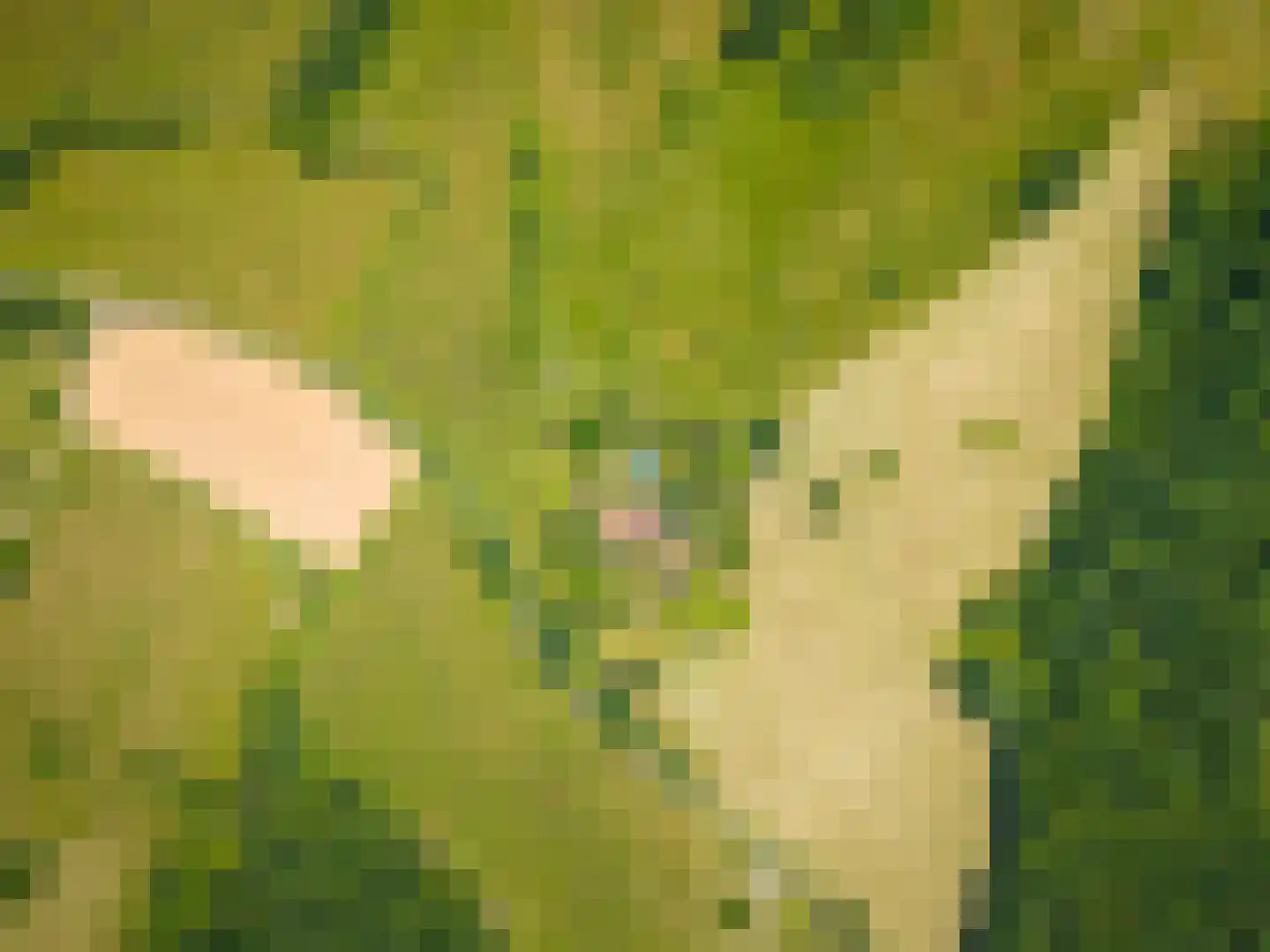 Rijksweg 1 Eede thumbnail 88