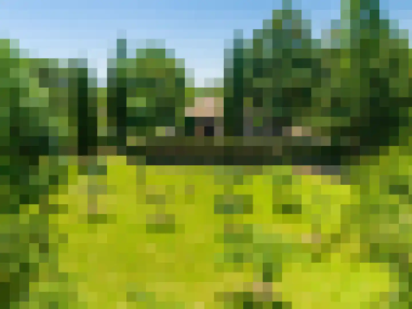 Rijksweg 1 Eede thumbnail 92